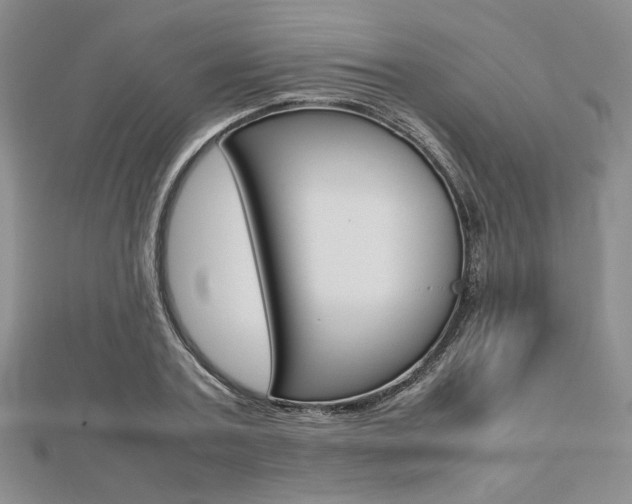 X0000112810787200908210937