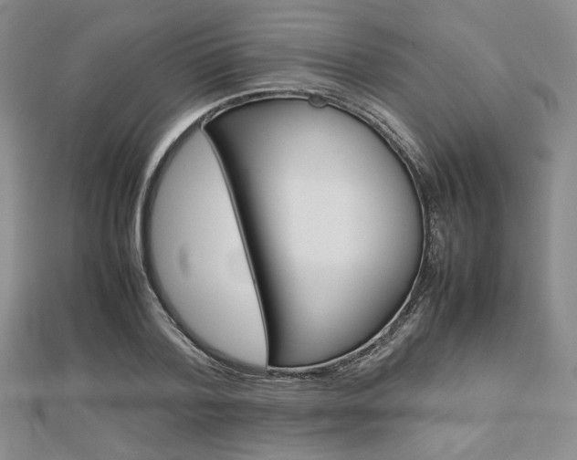 X0000112810788200908210937