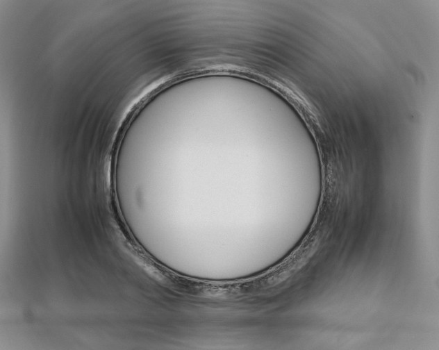 X0000112810790200908210937