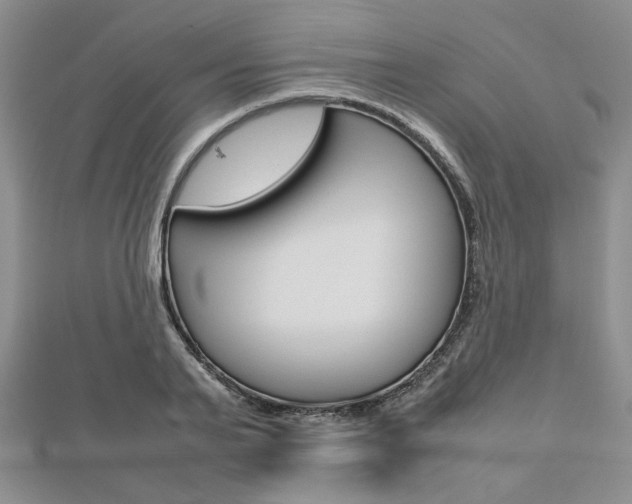 X0000112810791200908210937