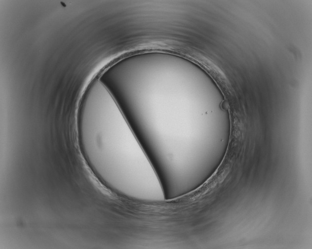 X0000112810792200908210937