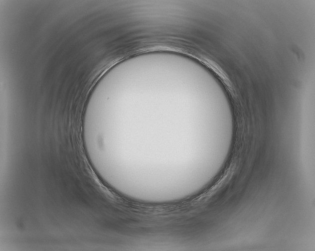 X0000112810793200908210937
