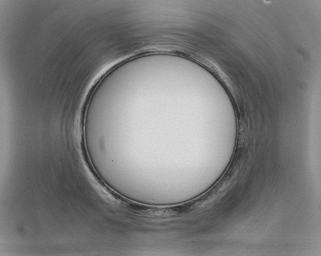 X0000112810795200908210937