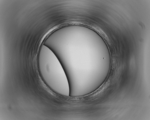 X0000112810798200908210937