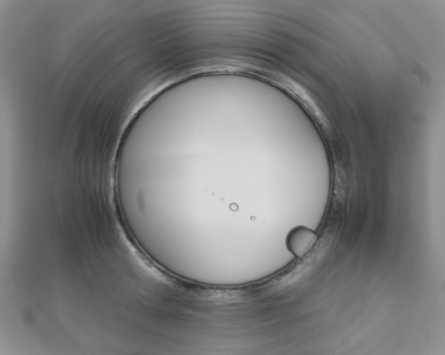X0000112810802200908210937