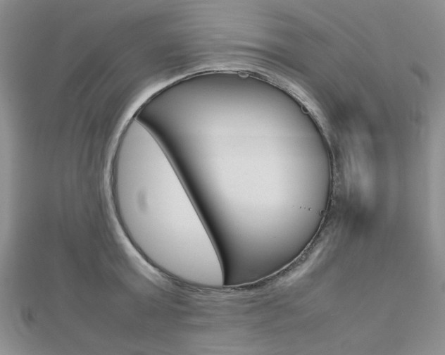 X0000112810803200908210937