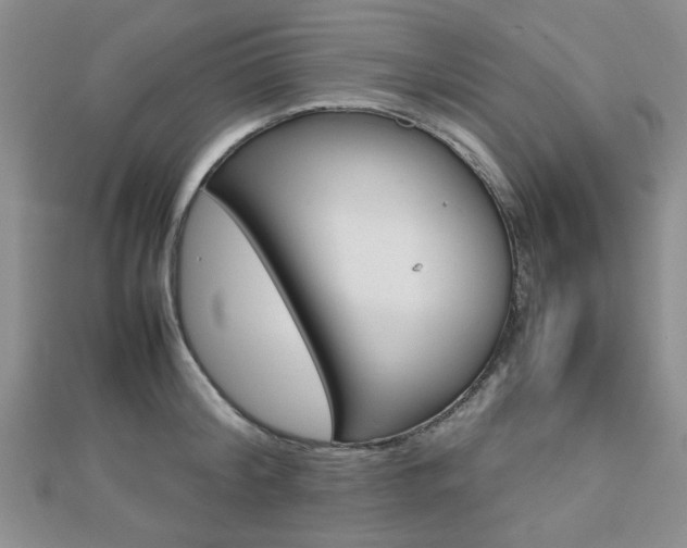 X0000112810804200908210937