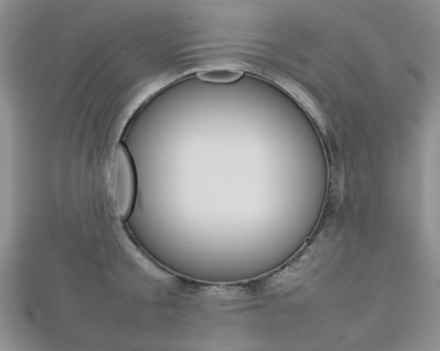 X0000112810805200908210937