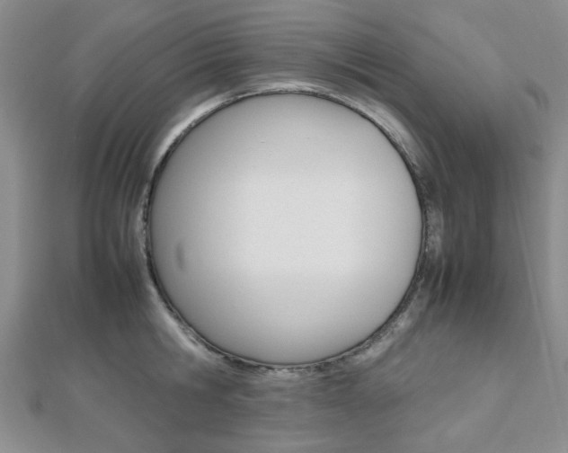 X0000112810806200908210937
