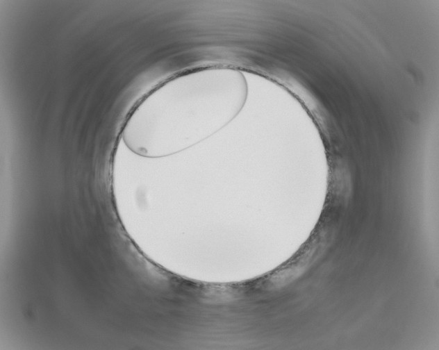 X0000112810807200908210937