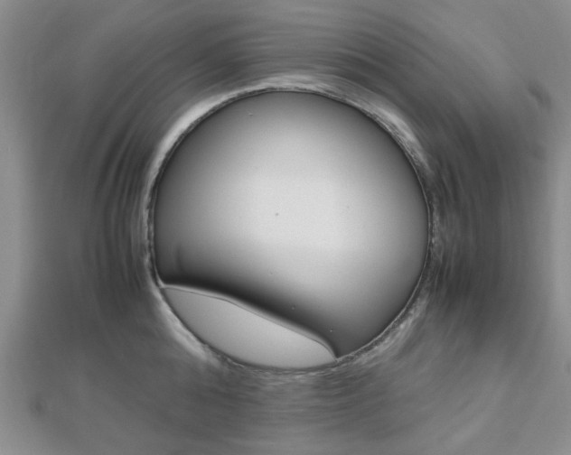 X0000112810808200908210937