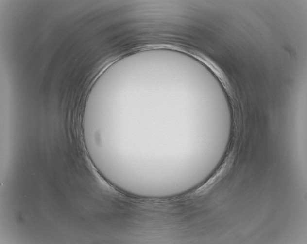 X0000112810809200908210937
