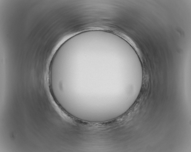 X0000112810811200908210937