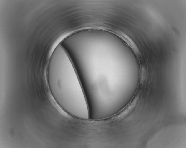 X0000112810812200908210937