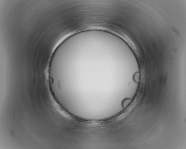 X0000112810814200908210937