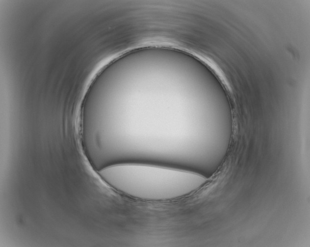 X0000112810815200908210937