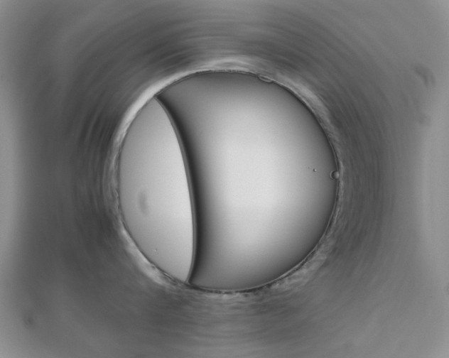 X0000112810816200908210937