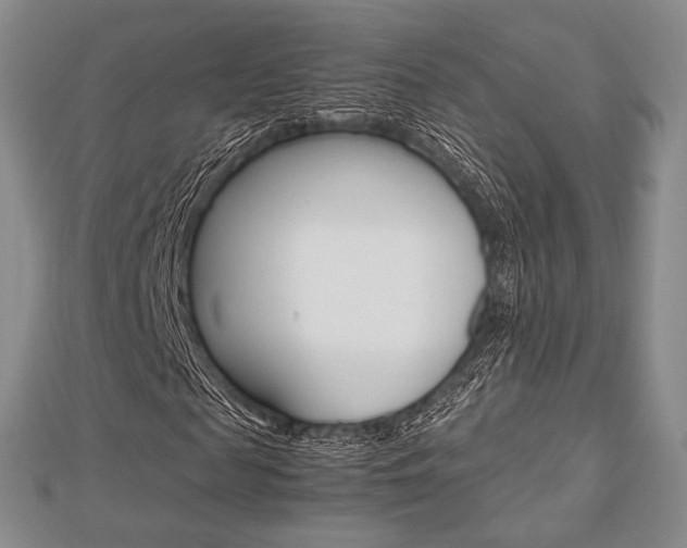 X0000112810817200908210936