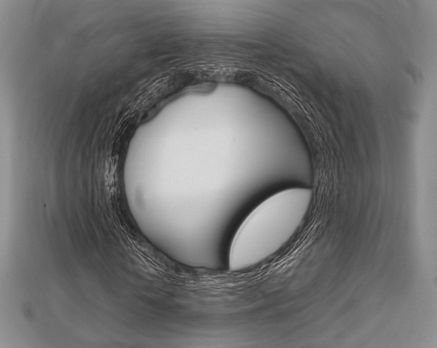 X0000112810818200908210936