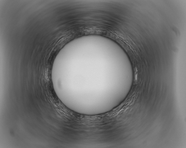X0000112810819200908210936