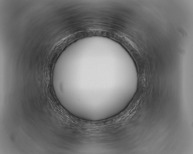 X0000112810821200908210936