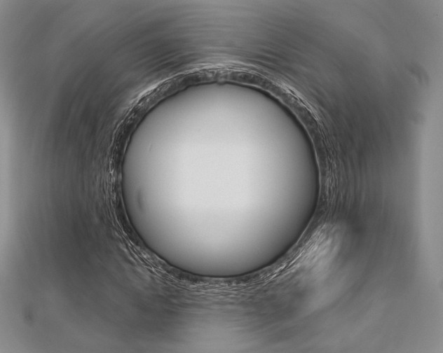 X0000112810822200908210936