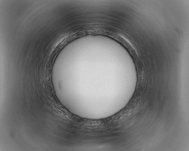 X0000112810823200908210936