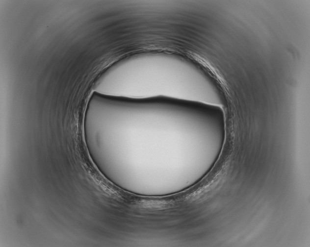 X0000112810825200908210936