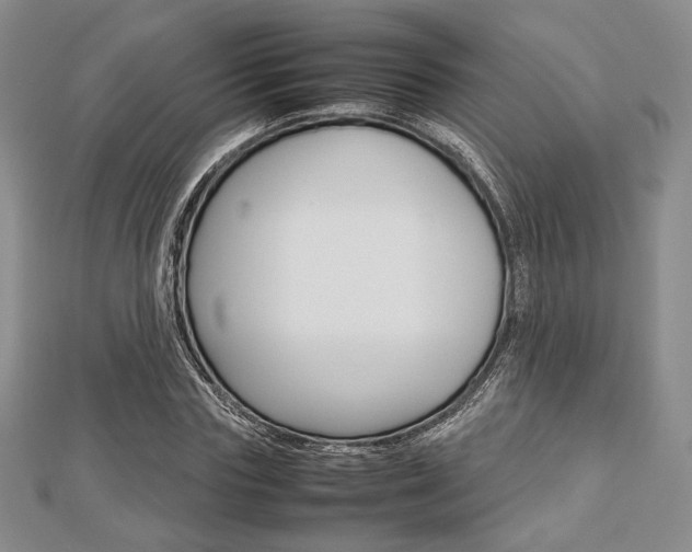 X0000112810827200908210936