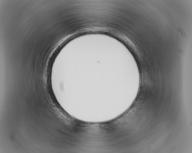 X0000112810828200908210936
