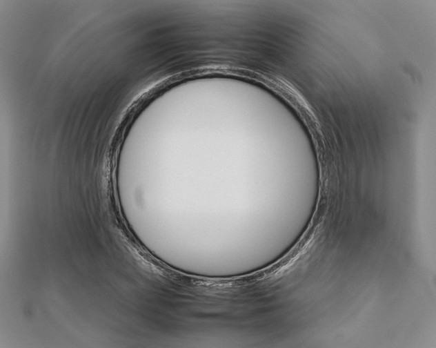 X0000112810831200908210936