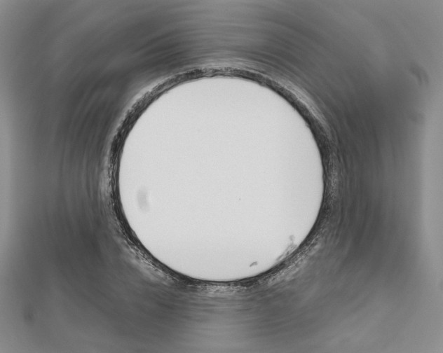 X0000112810832200908210936
