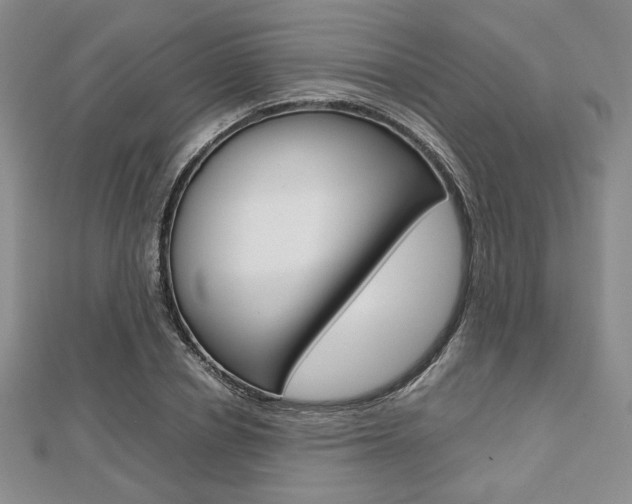 X0000112810834200908210936