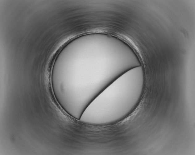 X0000112810835200908210936