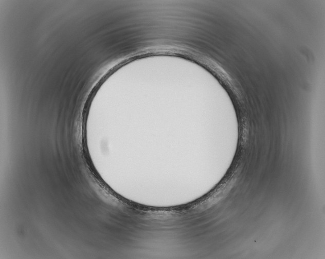 X0000112810836200908210936