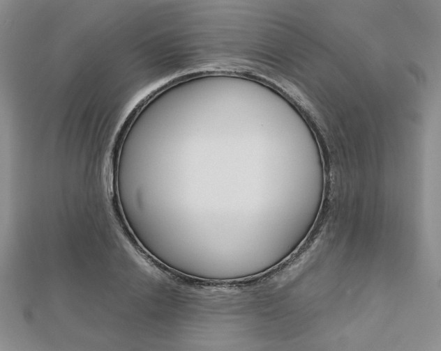 X0000112810838200908210936