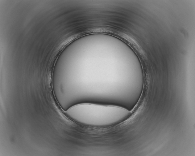 X0000112810841200908210936