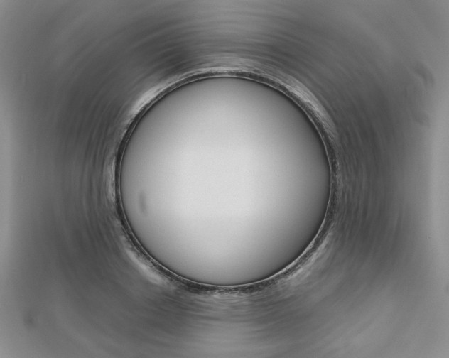 X0000112810842200908210936