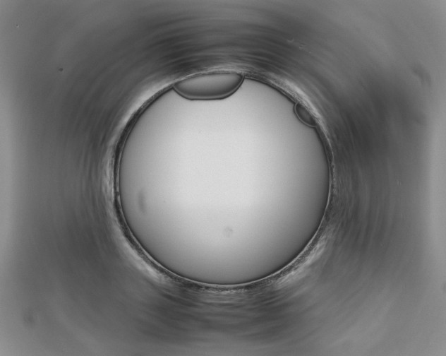 X0000112810843200908210936