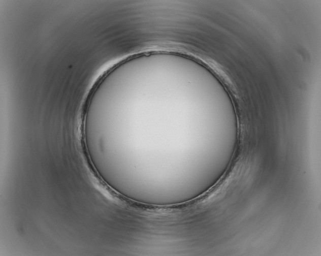 X0000112810846200908210936