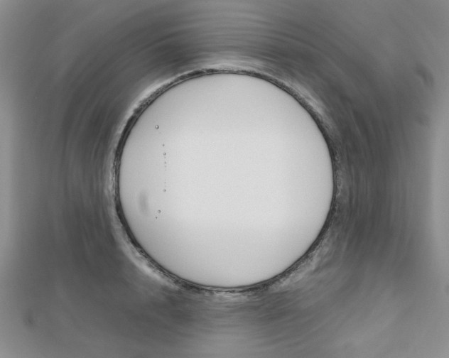X0000112810848200908210936
