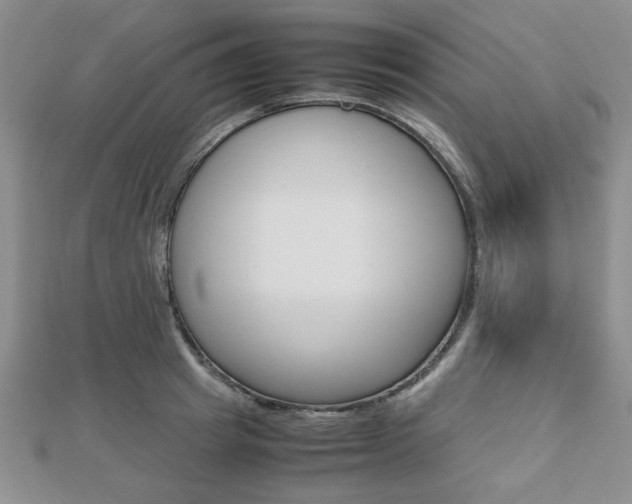 X0000112810849200908210936