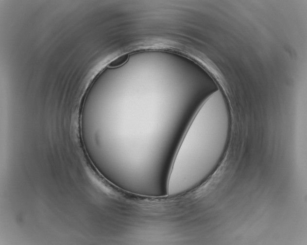 X0000112810850200908210936