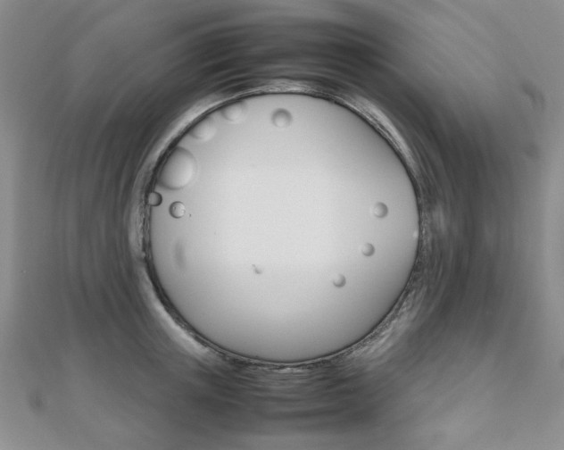 X0000112810851200908210936