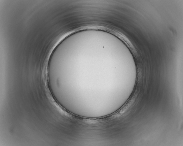X0000112810852200908210936