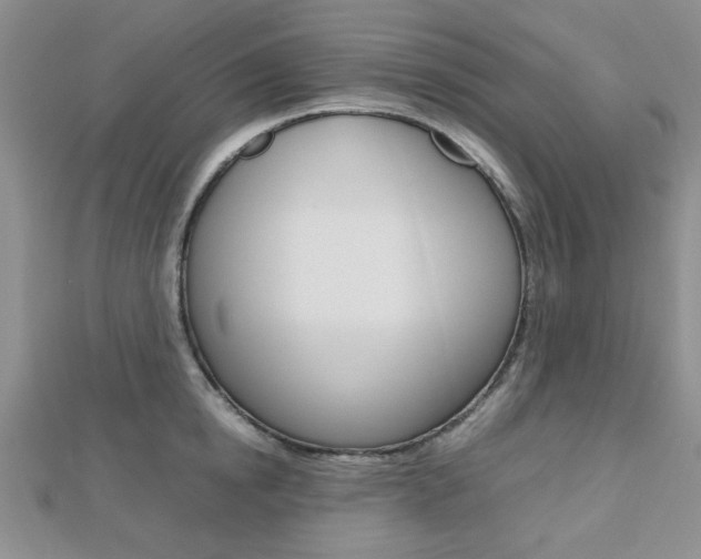 X0000112810854200908210937
