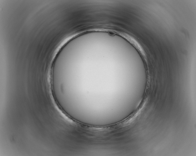 X0000112810855200908210937