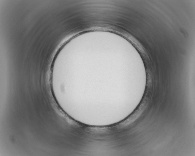X0000112810856200908210937
