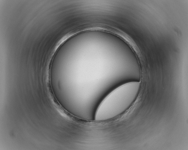 X0000112810858200908210937