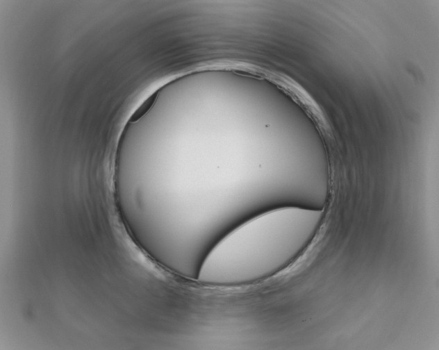 X0000112810860200908210937